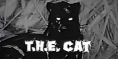 T.H.E. Cat