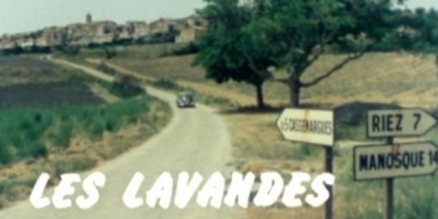 Les Lavandes